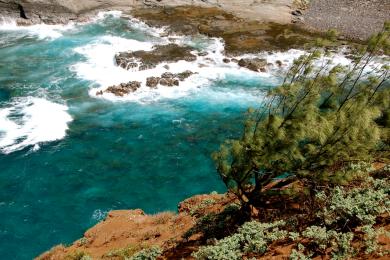 Sandee - Kilauea Point