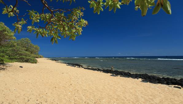 Sandee - Larsen's Beach