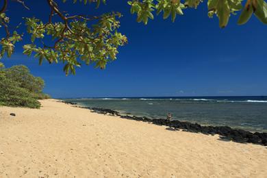 Sandee Larsen's Beach Photo