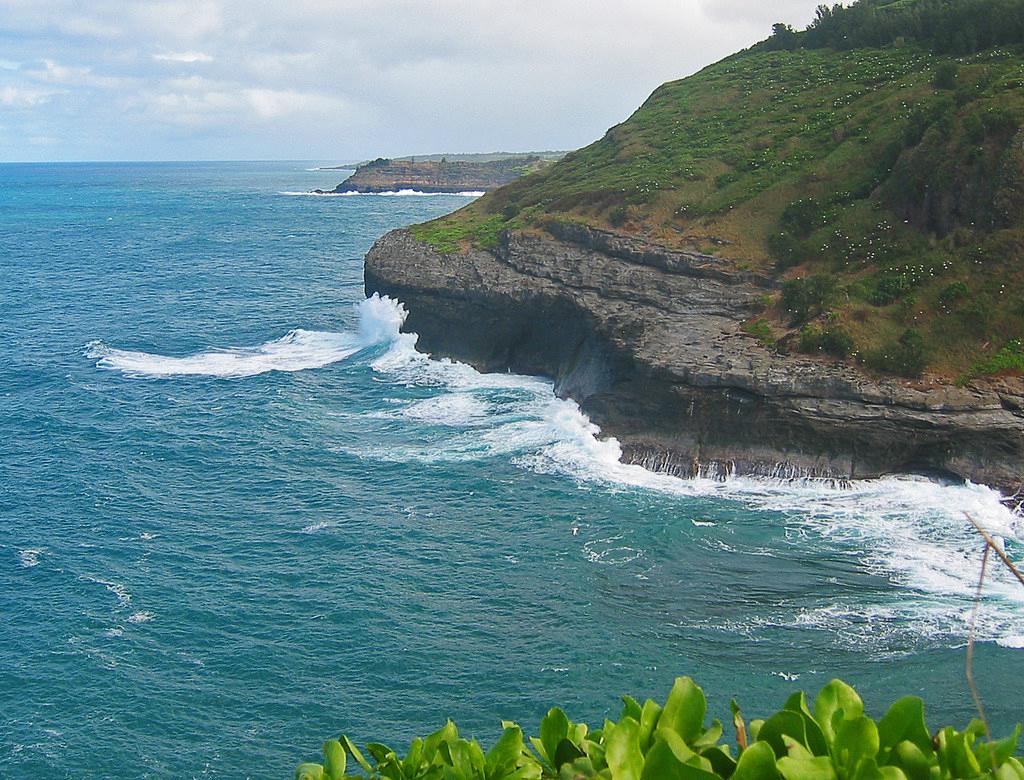 Sandee - Kilauea Point