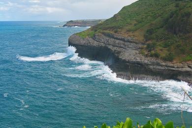 Sandee Kilauea Point Photo