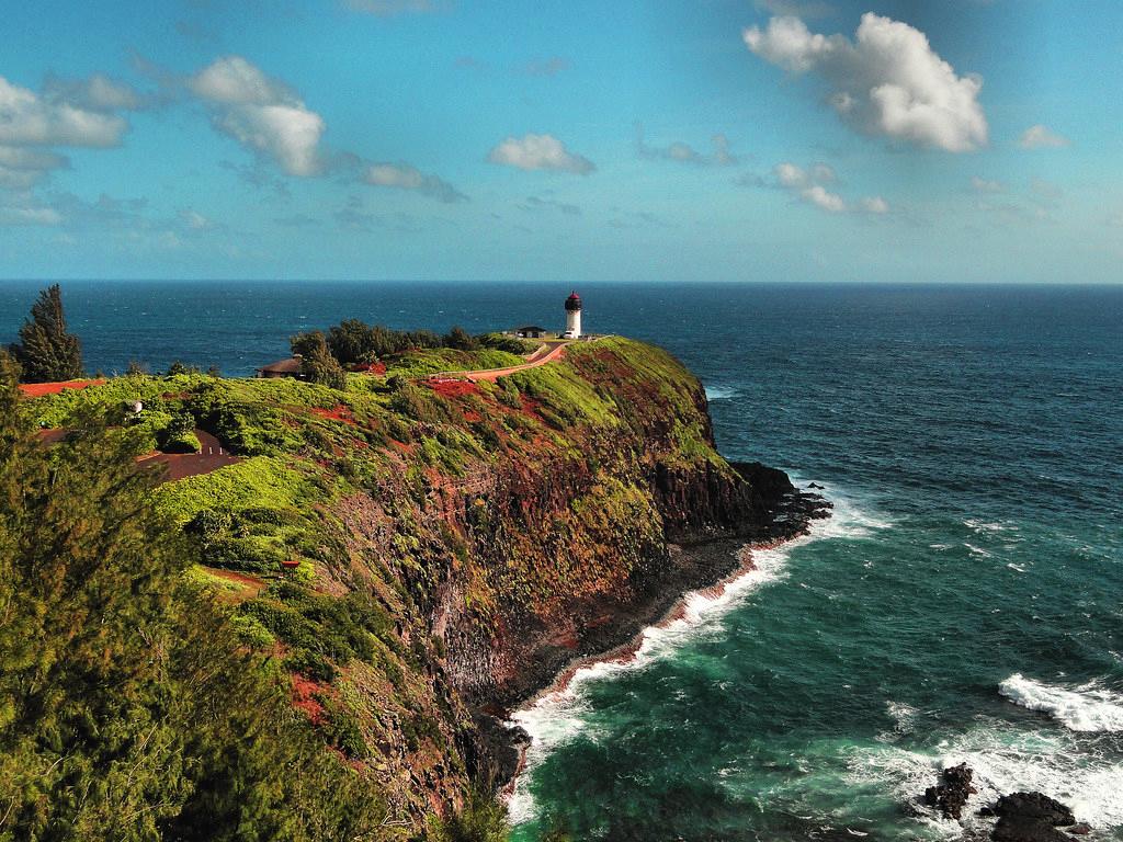 Sandee - Kilauea Point