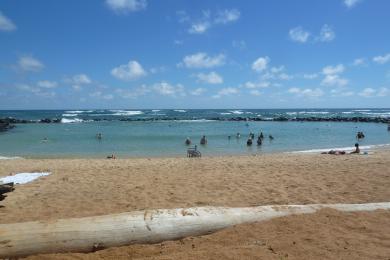 Sandee Lydgate Beach Park Photo