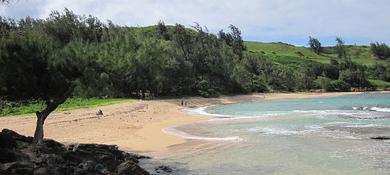 Sandee - Moloaa Beach