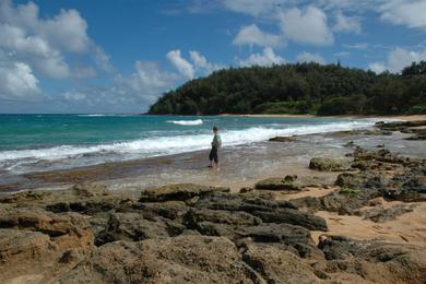 Sandee - Moloaa Beach