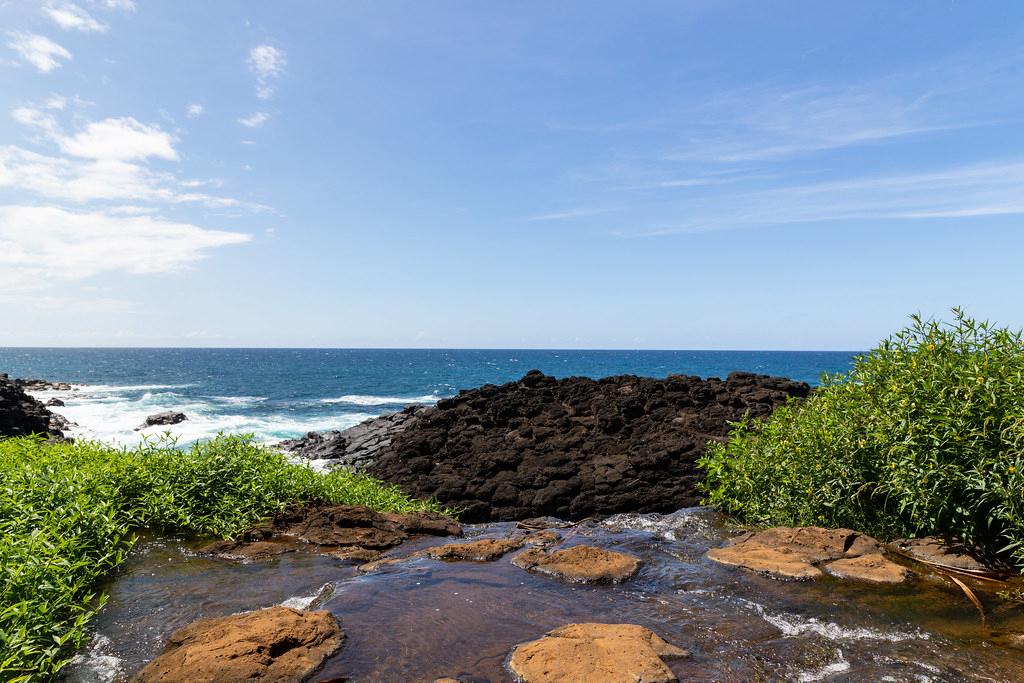 Sandee - Sealodge Beach