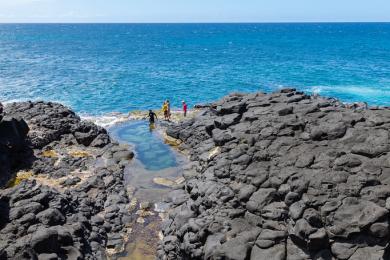 Sandee - Sealodge Beach