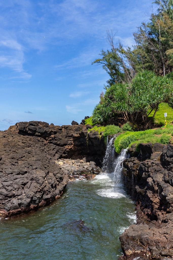 Sandee - Sealodge Beach