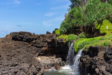 Sandee - Sealodge Beach