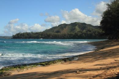 Sandee Wainiha Bay Photo