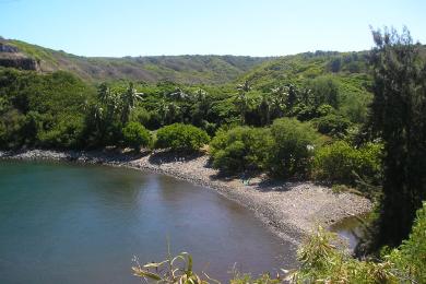 Sandee Honokohau Bay Photo