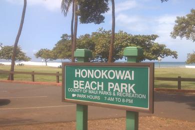 Sandee - Honokowai Beach Park
