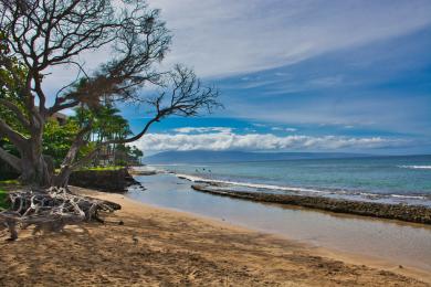 Sandee - Honokowai Beach Park