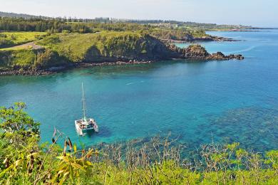 Sandee - Honolua Bay