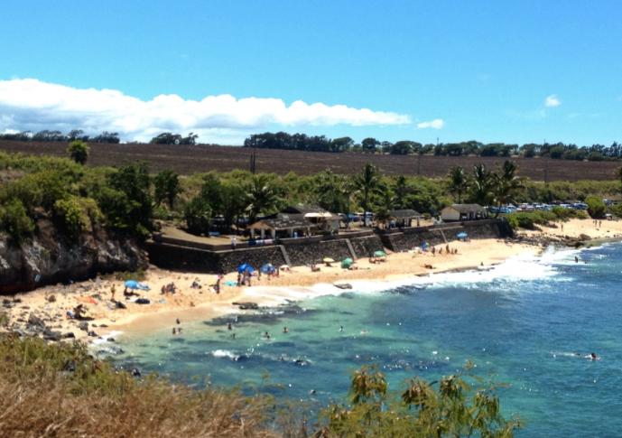 Sandee - Hookipa Beach Park