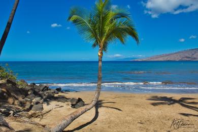 Sandee - Kalepolepo Beach Park