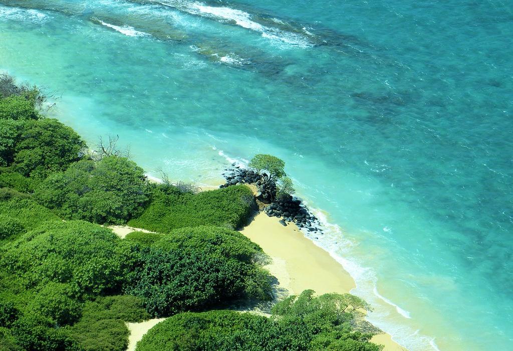 Sandee Kanaha Beach Park