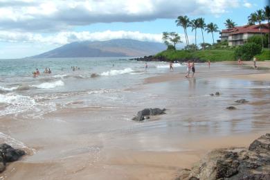 Sandee - Keawakapu Beach