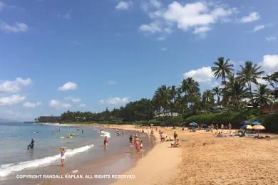 Sandee Keawakapu Beach Photo