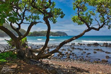 Sandee - Koki Beach Park