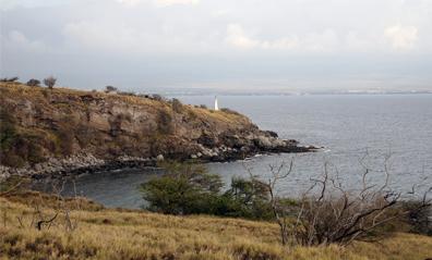 Sandee - Lighthouse Beach