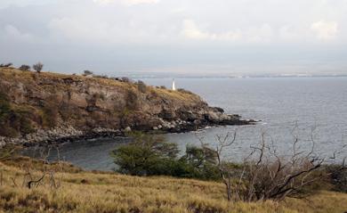 Sandee Lighthouse Beach Photo