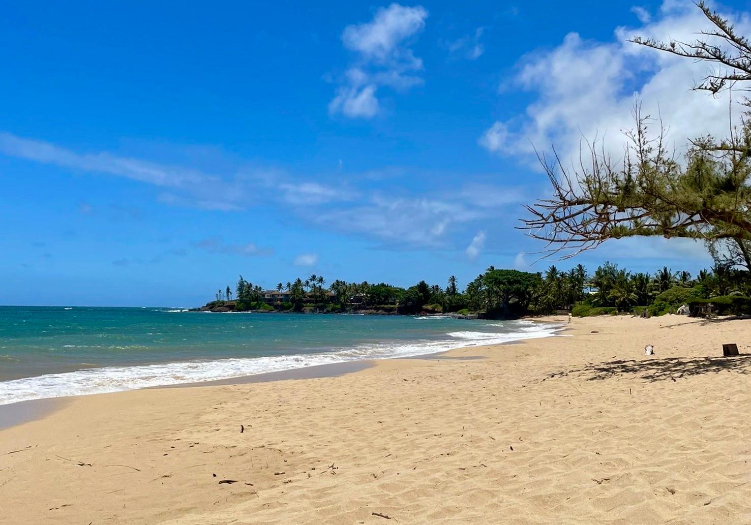 Sandee - Lower Paia Park