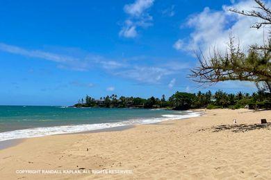 Sandee - Lower Paia Park