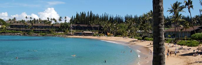 Sandee - Napili Beach