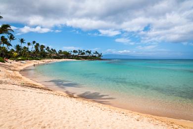 Sandee - Napili Beach