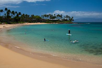 Sandee - Napili Beach