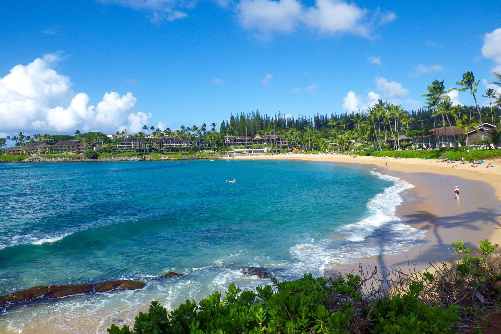 Sandee - Napili Beach