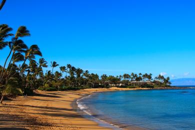 Sandee - Napili Beach