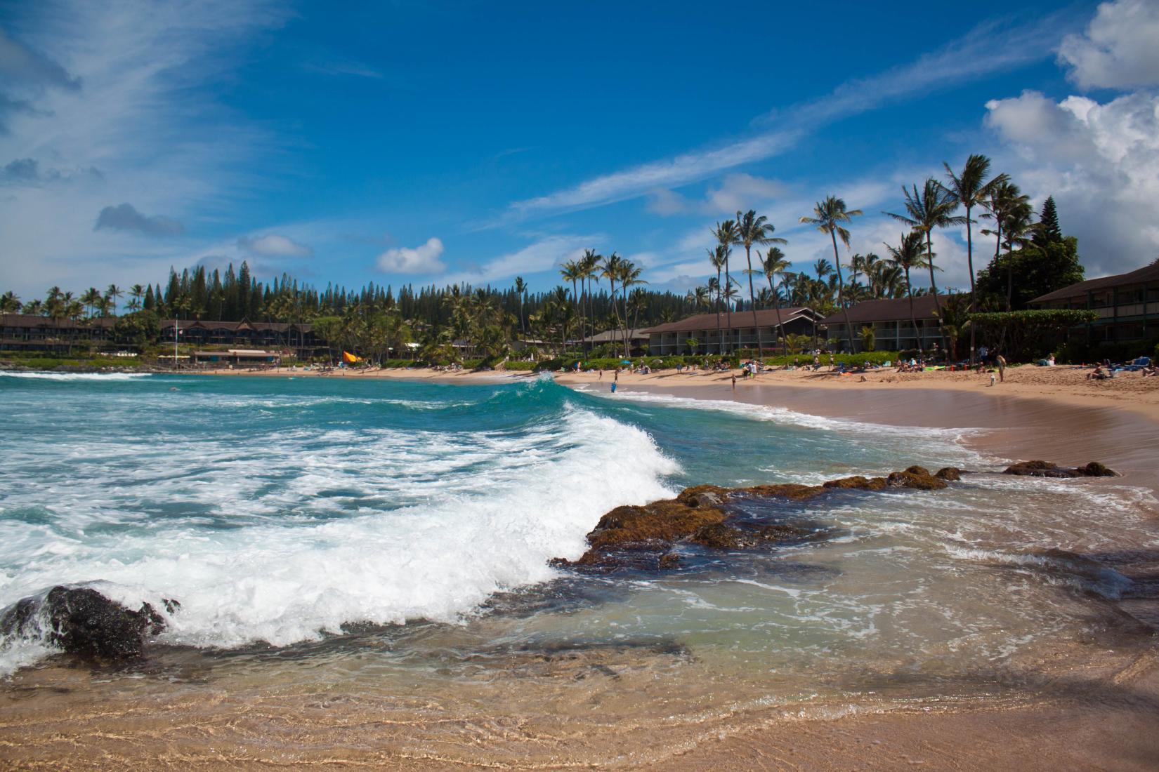 Sandee - Napili Beach