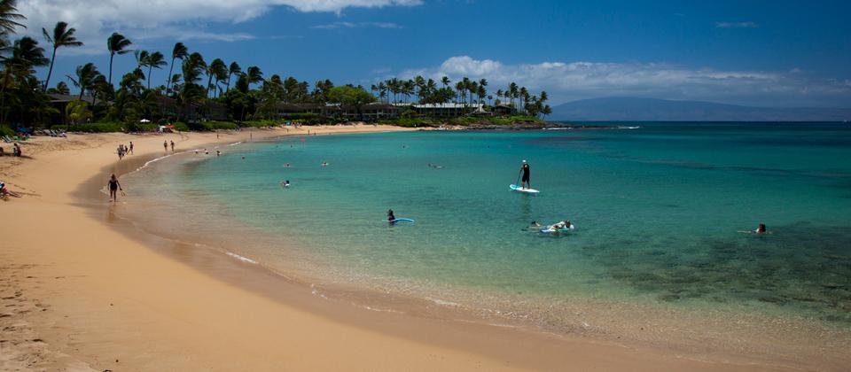 Sandee - Napili Beach