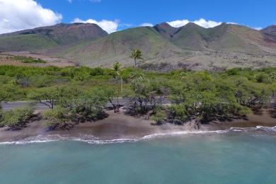 Sandee Olowalu Beach