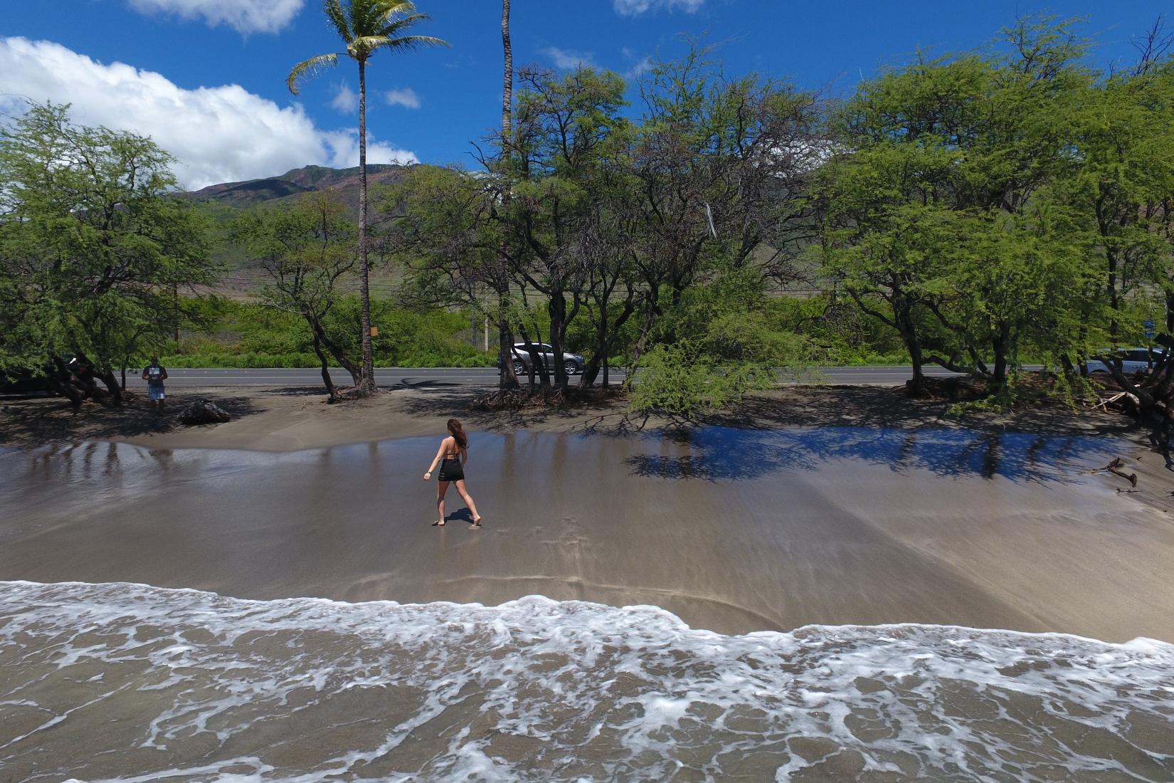 Sandee - Olowalu Beach