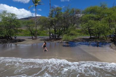 Sandee - Olowalu Beach