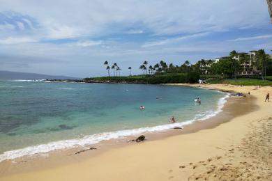 Sandee Oneloa Bay Beach Photo