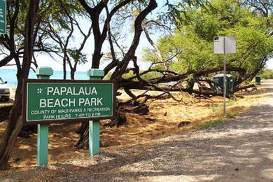 Sandee - Papalaua Beach Park