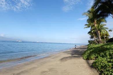 Sandee Baby Beach Photo