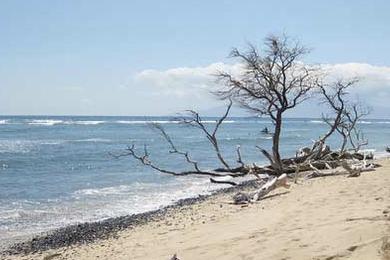 Sandee - Ukumehame Beach Park