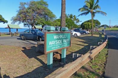 Sandee - Wahikuli State Wayside Park