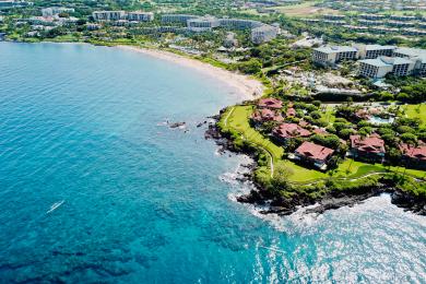 Sandee Wailea Beach Photo