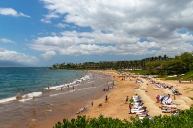 Sandee - Wailea Beach