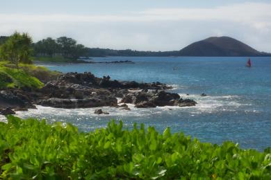 Sandee - Wailea Beach