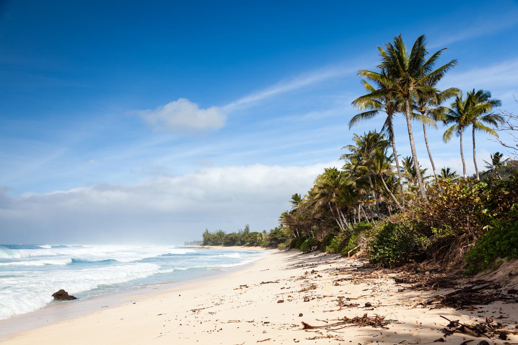 Sandee - Banzai Pipeline