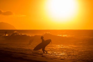 Sandee - Banzai Pipeline