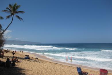 Sandee - Banzai Pipeline