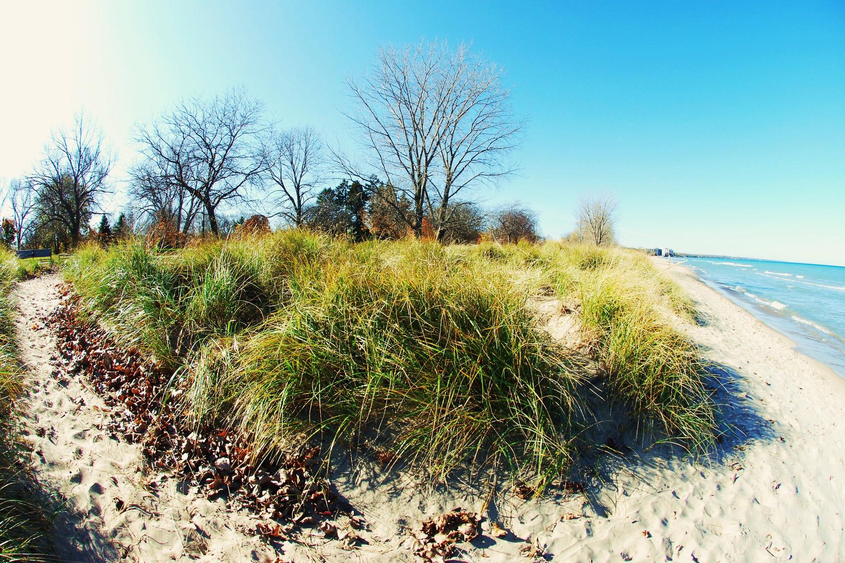 Sandee - Gillson Park Beach